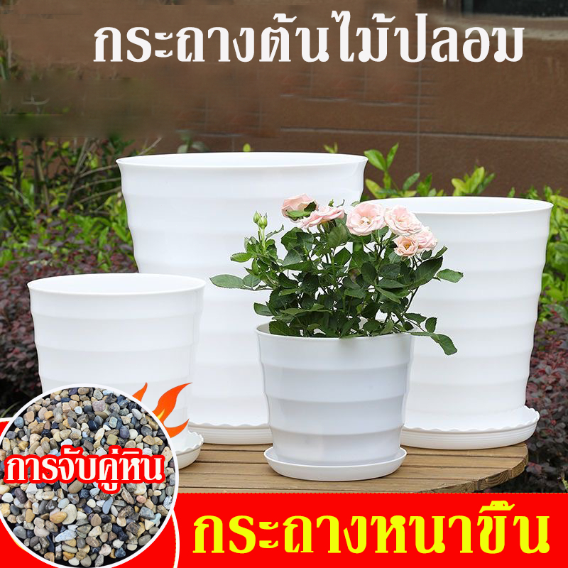 [แถมหิน]กระถาง กระถางต้นไม้ กระถางเบลล่า ขนาด กระถางหยดน้ำ กระถางมินิมอล