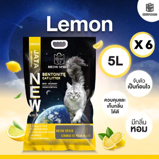 Meow Space ทรายแมวเบนโทไนท์ 5 ลิตร 6 ถุง รวม 30 ลิตร