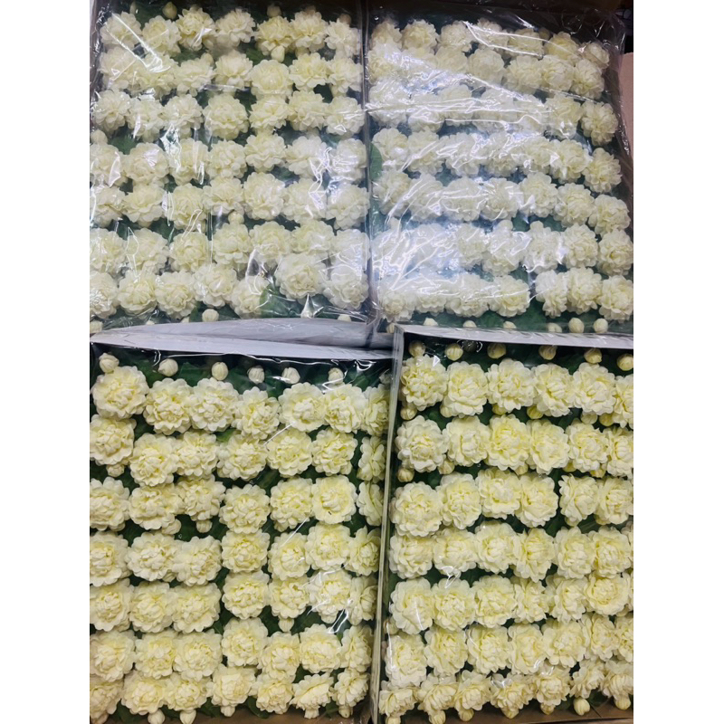 เข็มกลัดมะลิ1กล่อง50ดอก พร้อมส่ง