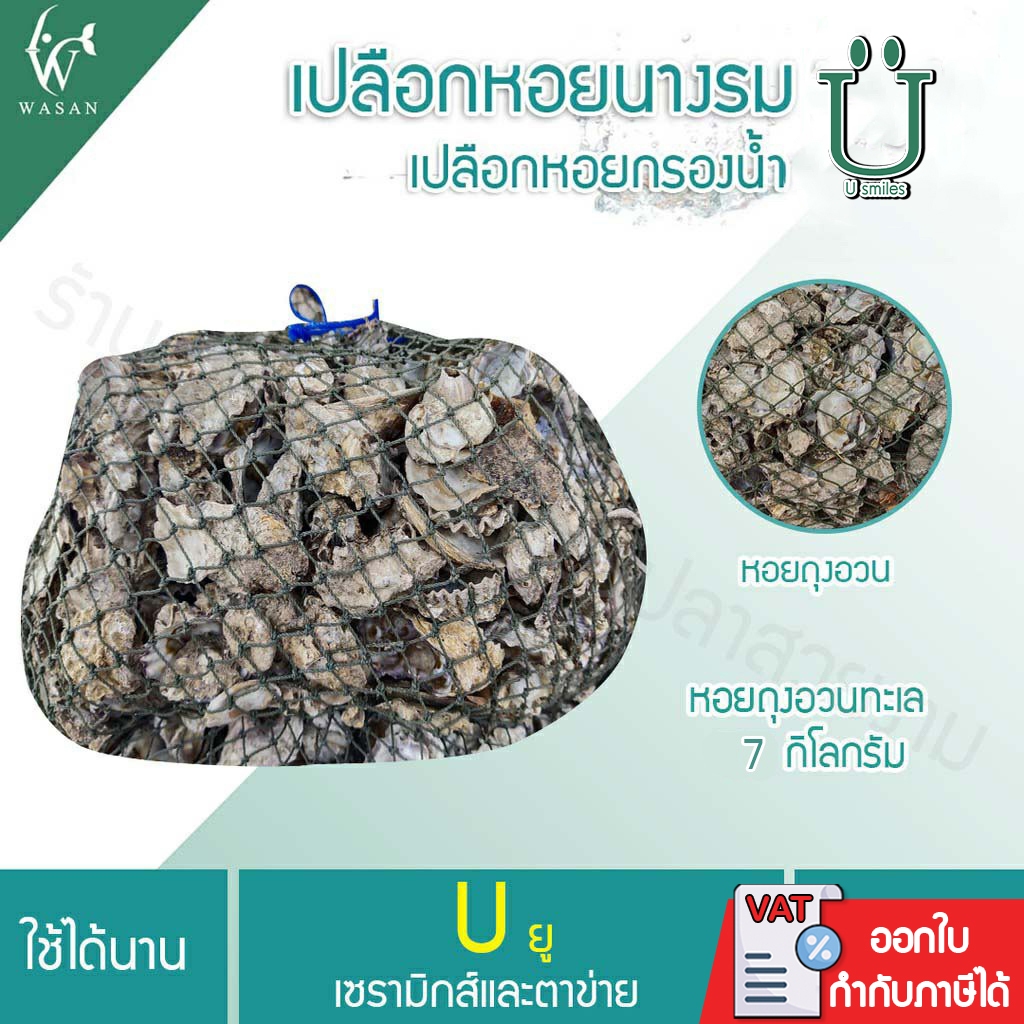 เปลือกหอย ใส่ถุงอวนทะเล พร้อมใช้งาน (ถูกที่สุด ดีที่สุด ) BY วสันต์อุปกรณ์ปลาสวยงาม