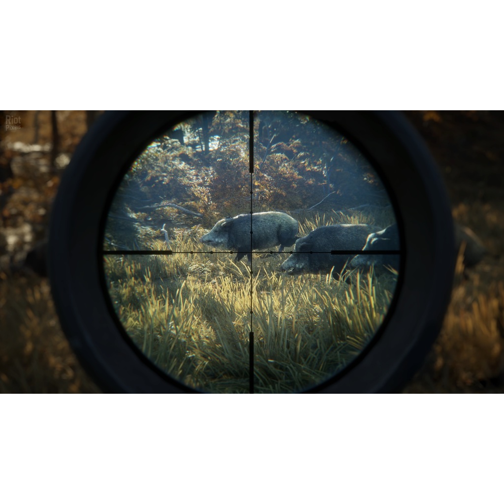 theHunter Call of the Wild เกม USB