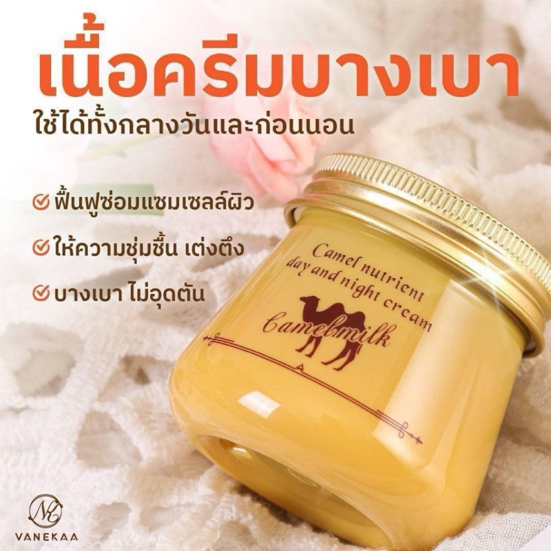 VNK0048 VANEKAA CAMEL NUTRIENT DAY & NIGHT CREAM วานีก้า คาเมล นูเทรียนท์ เดย์ & ไนท์ ครีมนมอูฐหน้าขาวใส