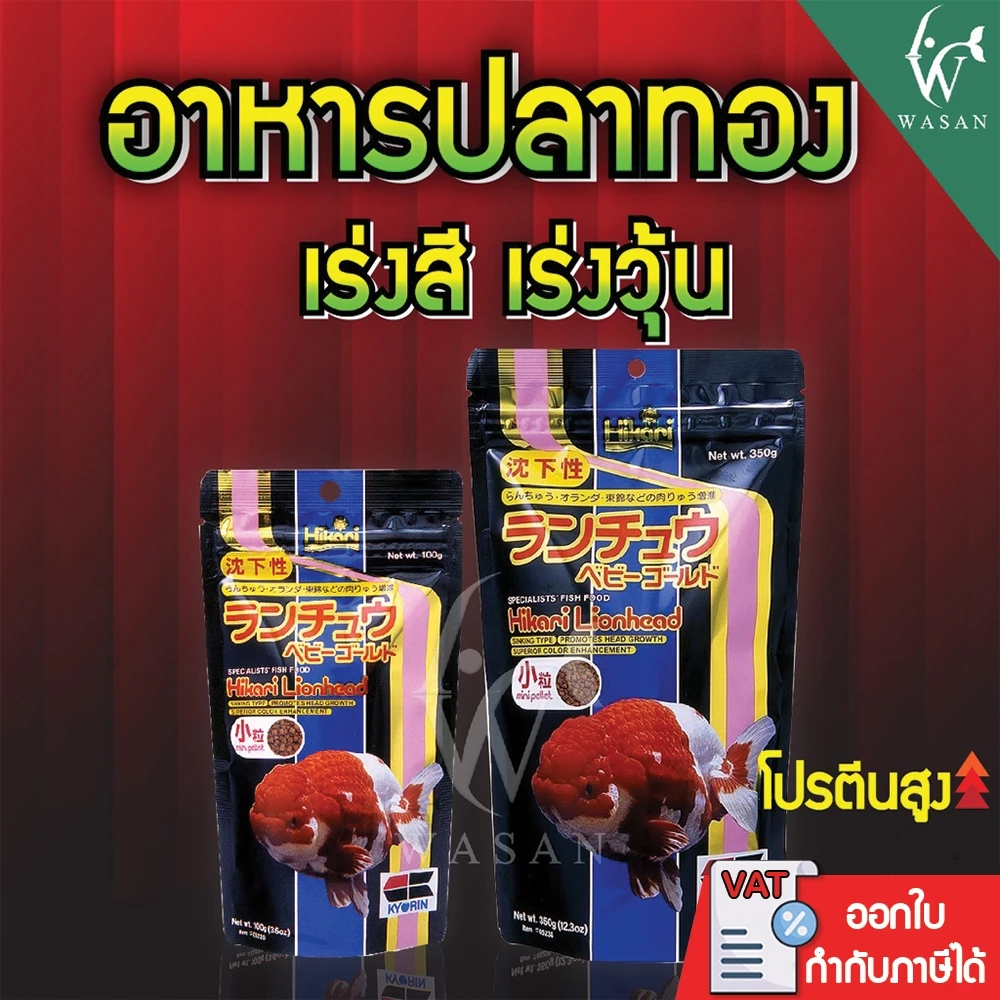 อาหารปลา Hikari Lionhead ขนาด 350g อาหารสำหรับปลาทองหัวสิงห์ หัววุ้น ชนิดเม็ดจม เร่งวุ้น เร่งสี