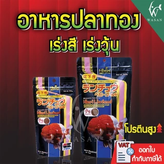 อาหารปลา Hikari Lionhead ขนาด 350g อาหารสำหรับปลาทองหัวสิงห์ หัววุ้น ชนิดเม็ดจม เร่งวุ้น เร่งสี