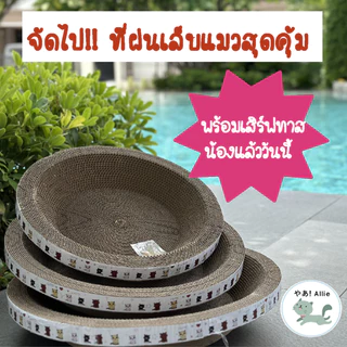 ที่ฝนเล็บทรงกลม ที่ลับเล็บแมว ทั้งคลายเครียด และป้องกันน้องขีดข่วนเฟอร์นิเจอร์ภายในบ้าน 🐱