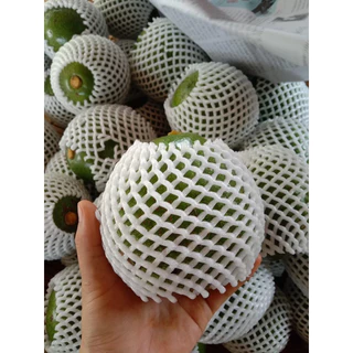 2กิโลกรัม)อโวคาโด้ พันธุ์ บูท7 ใหญ่ 3-4ลูก/โล พร้อมส่งทั่วไทย