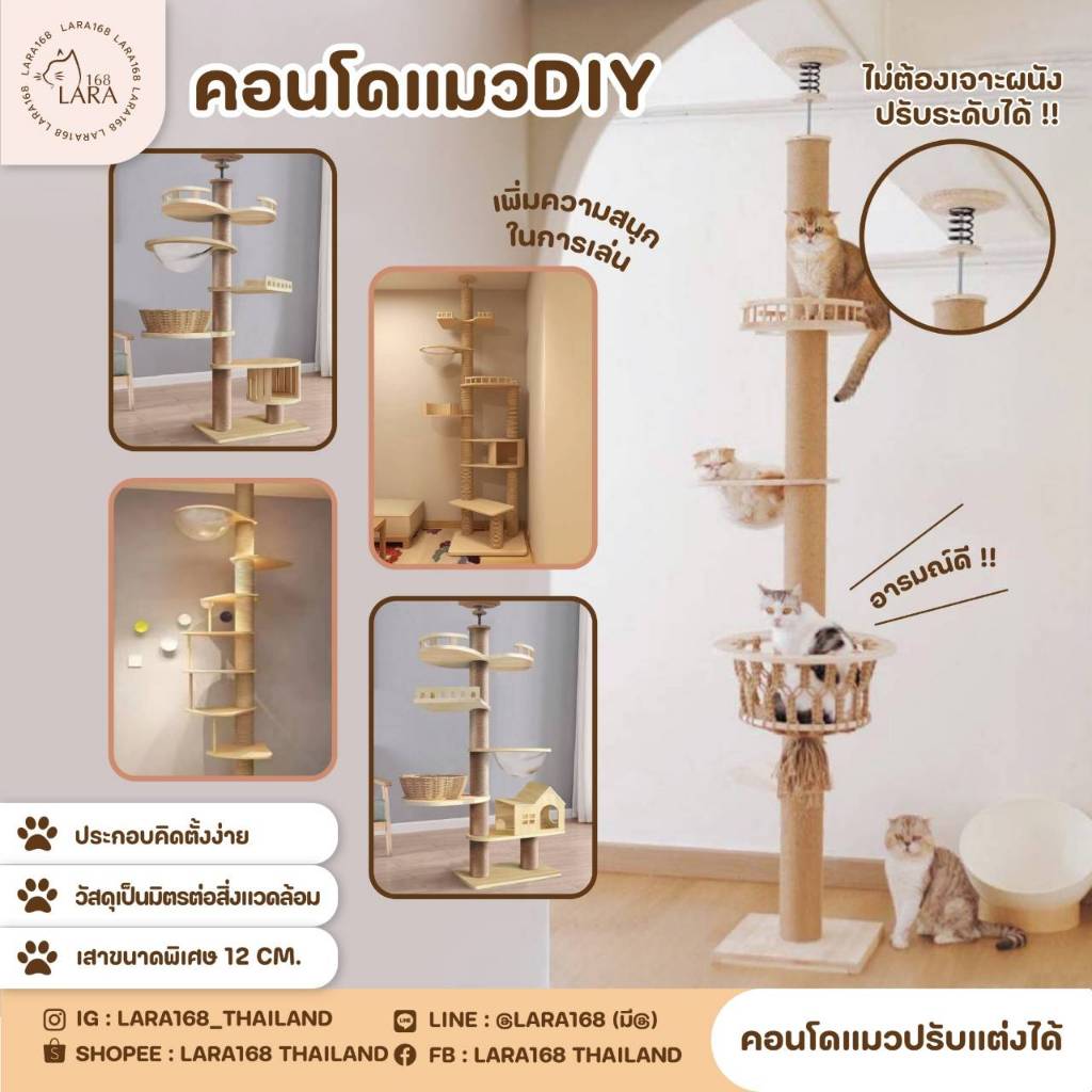 A09🌈DIYคอนโดแมวติดเพดาน  คอนโดแมวทั่วไป แกนเสาPVCเจ้าเดียวในไทย คอนโดปีนป่าย  เฟอร์นิเจอร์แมว