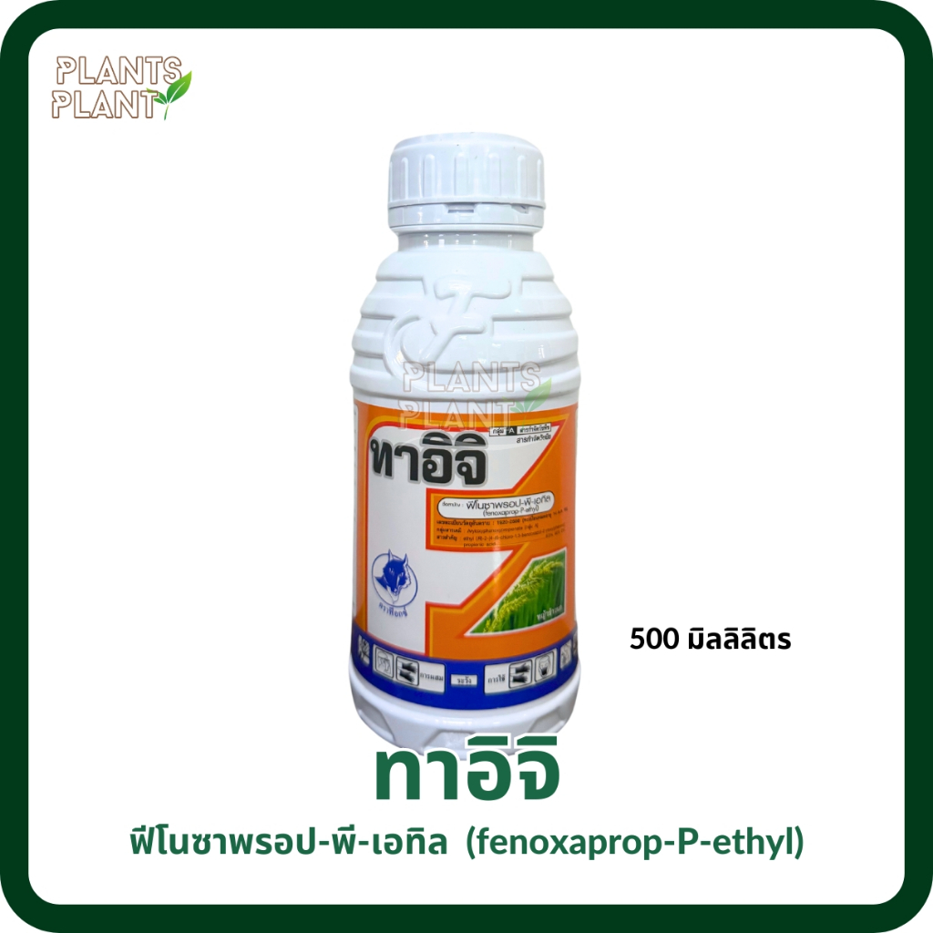 ทาอิจิ 500ml, ฟีโนซาพรอป-พี-เอทิล fenoxaprop-P-ethyl) สารกำจัดวัชพืชในนาข้าว ยาฆ่าหญ้าดอกขาว
