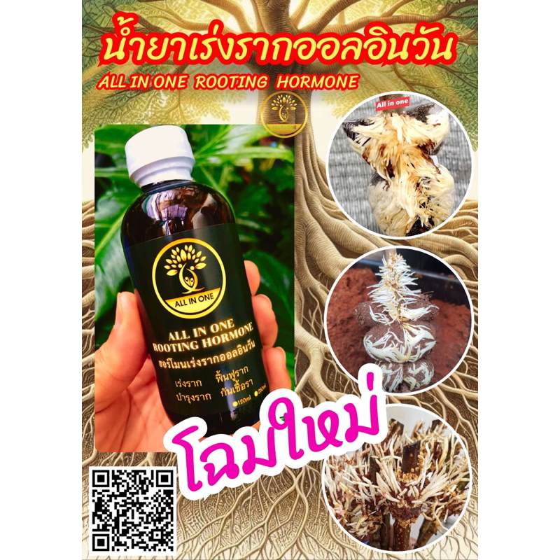 น้ำยาเร่งราก เร่งรากเทพ