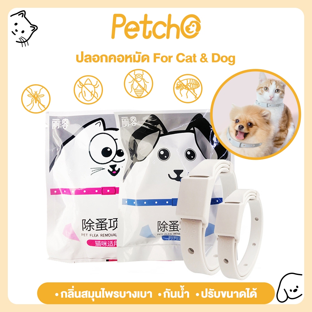 Petcho ปลอกคอกำจัดเห็บหมัด ปลอกคอแมว ปลอกคอสุนัข ปลอดภัย ป้องกันได้ยาวนาน ปลอกคอสัตว์เลี้ยง