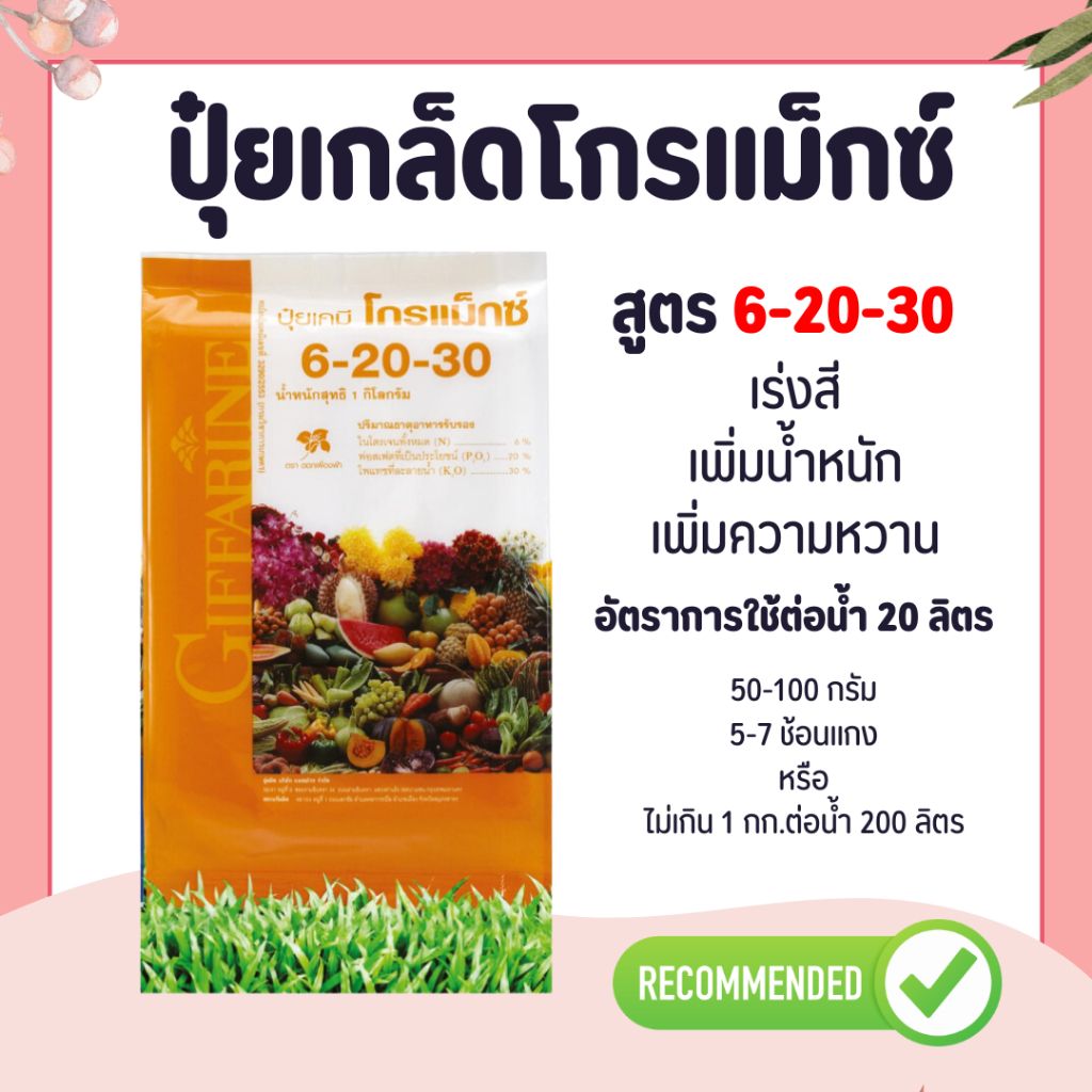 ปุ๋ย ปุ๋ยกิฟฟารีน เกล็ดโกรแม็กซ์ สูตร 6-20-30 ปุ๋ยระยะลงหัว ปุ๋ยสร้างน้ำหนัก ปุ๋ยสร้างแป้ง ปุ๋ยสร้างน้ำตาล
