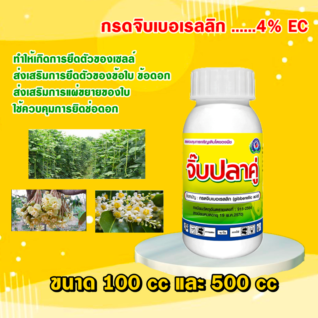 กรดจิบเบอเรลลิก4% ช่วยยืดเซลล์พืช ยืดต้น ยืดดอกพืช (500cc/100cc)