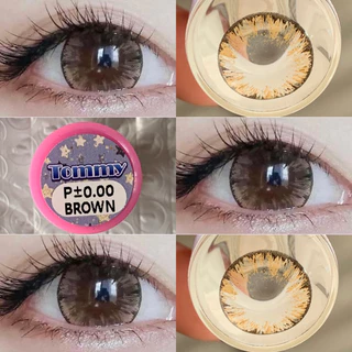 มีค่าสายตา 💋 kissylens Tommy Gray Brown black 💋 บิ๊กอาย สุดปัง คอนแทคเลนส์ รายเดือน