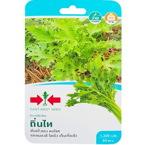 เมล็ดผักกาดเขียวน้อย ถิ่นไท ตราศรแดง