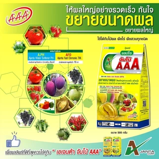 ปุ๋ยขยายลูก เร่งสี เข้าเนื้อ จัมโบ้ AAA กล่องเหลือง ขยายผล สร้างเนื้อ เข้าสี เอเจนต้า คอร์ป