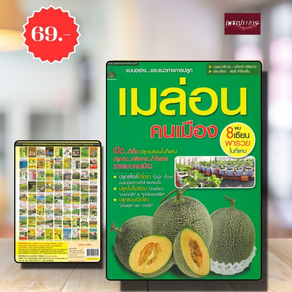 พิเศษ69 บ.(จากปกติ 155บ.) เมล่อน คนเมือง