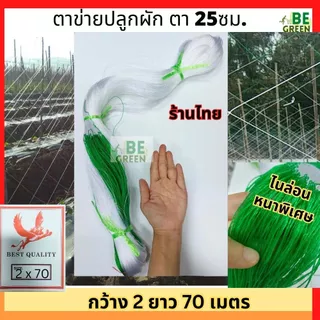 ตาข่ายปลูกผัก ตาข่ายปลูกแตง 🚩ไนล่อนหนาพิเศษ 2x70 แตงกวา อวนแตง ค้างแตง ปลูกไม้เลื้อย มะระ ผักเลื้อย ถั่วฝักยาว