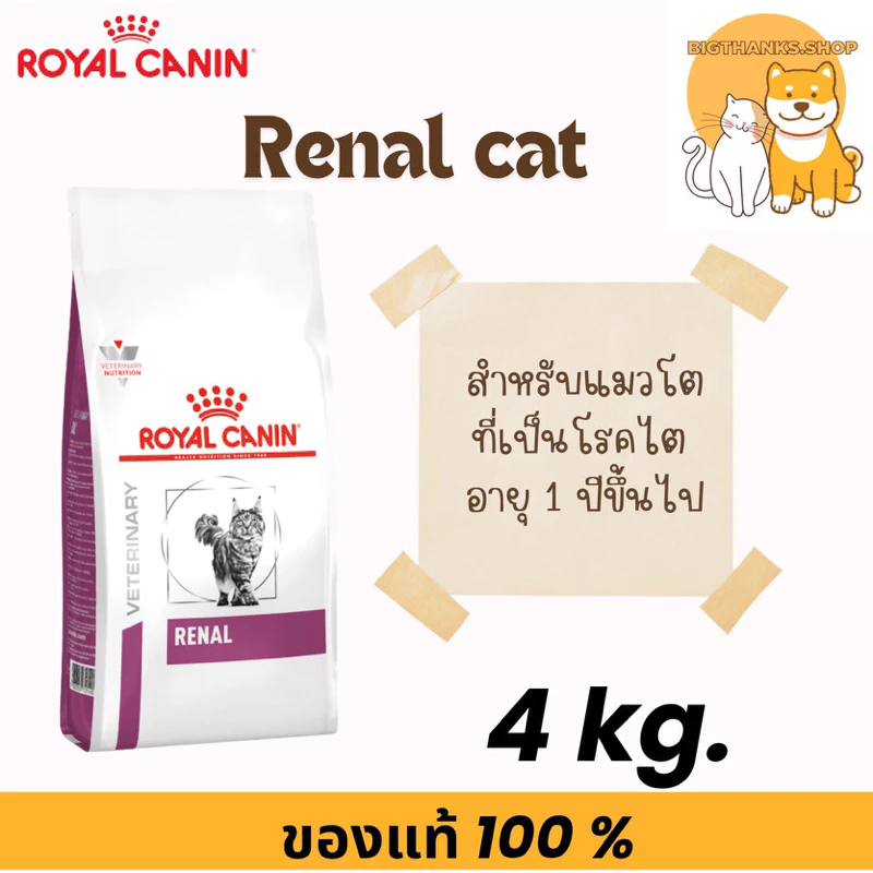 Royal canin Renal cat 4 kg. Exp.19/09/2027 สําหรับแมวโตที่เป็นโรคไต อายุ 1 ปีขึ้นไป