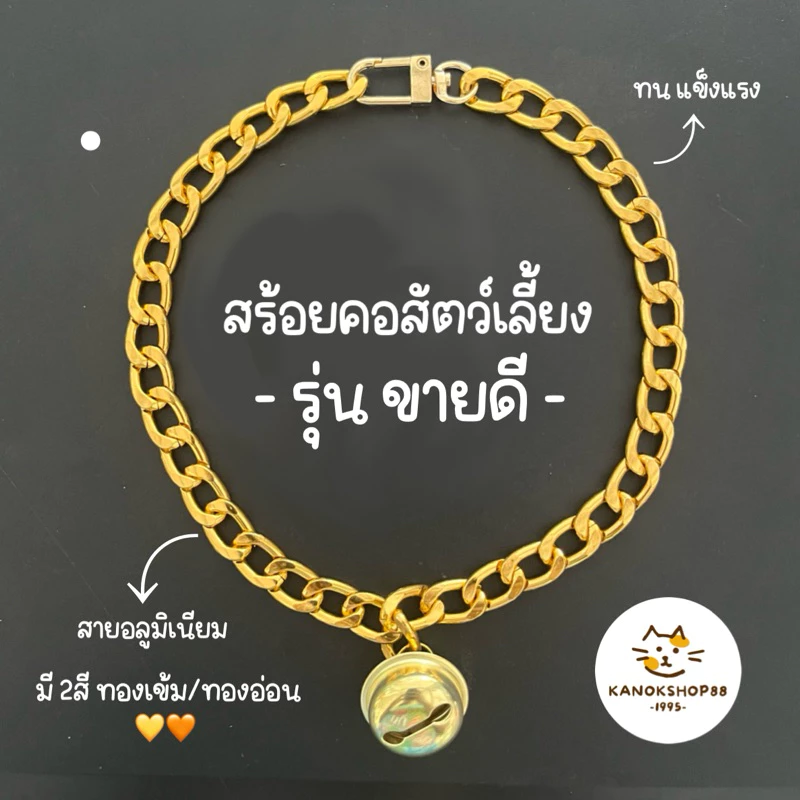 สร้อยคอหมา สร้อยคอแมว ปลอกคอสุนัข โซ่คอ ปลอกคอหมา (เส้นแบนทอง)