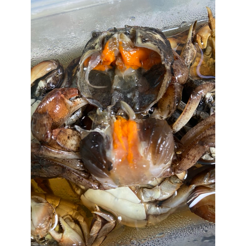 🦀ปูแป้นดองน้ำปลากวน 🦀ปูรวม ตัวผู้+ตัวเมีย ขนาด 500 กรัม