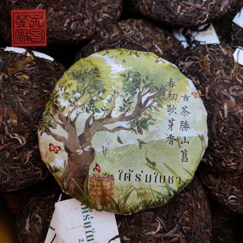ชาผู่เอ๋อ​ร์​ดิบ​ปี​ 2024 ไร่ชาวาวี​ ชุด​ใต้ร่มใบชา​ ขนาด​ 200 กรัม​ Sheng Puerh cha