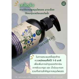 แชมพูสมุนไพรสด สูตรเพิ่มผมดกดำ แชมพูลดผมหงอก (FRESH HERBS SHAMPOO FOR HAIR DARKENING) มาบเอื้อง