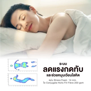 Midas ที่นอนยางพาราแท้ 100% ลดแรงกดทับ - Latex Made In Belgium ส่งฟรี
