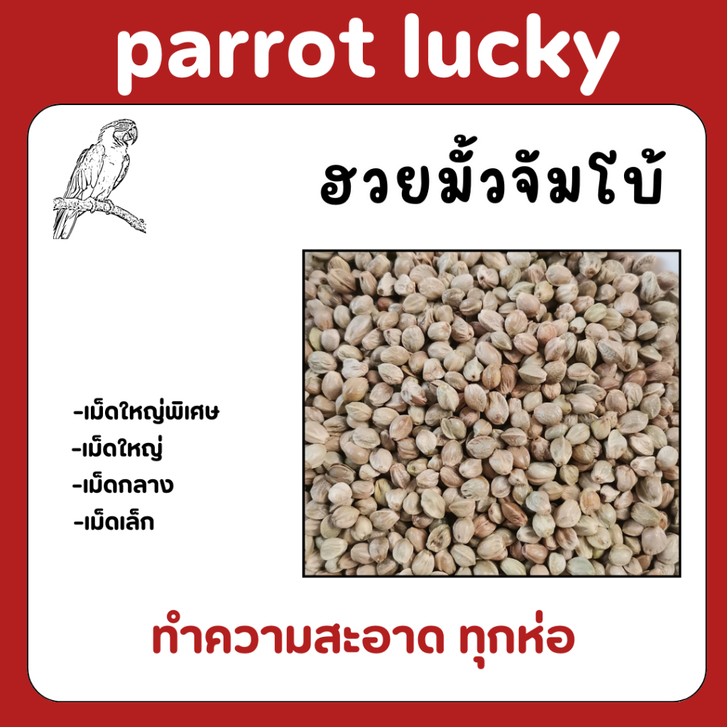 🔥ลดแหลก🔥 8/8 !!! ฮวยมั้วอย่างดี มีหลายขนาดให้เลือก พร้อมทำความสะอาด 100%