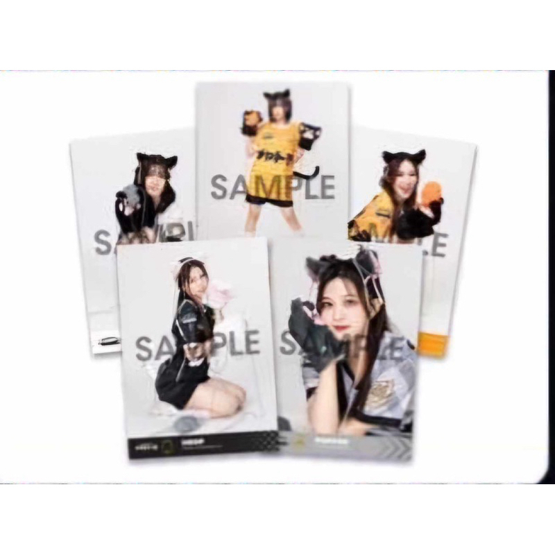 รูป Photoset งาน กีฬา สี Neko Wars BNK48 - CGM48 คอมพ์ 3 ใบและแยกขาย