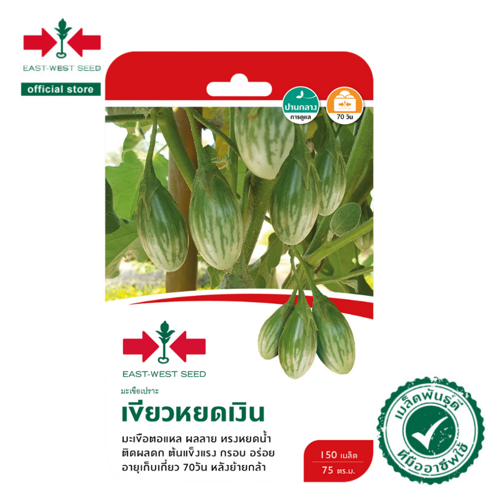 ศรแดง เมล็ดพันธุ์มะเขือเปราะ เขียวหยดเงิน (East-West Seed) เมล็ดพันธุ์ ผักสวนครัว ตราศรแดง
