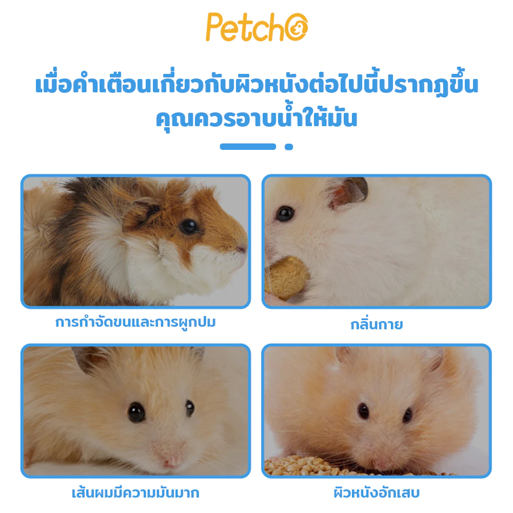 Petcho ทรายอาบน้ำแฮมสเตอร์ thumbnail 3