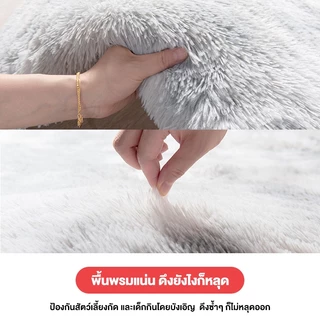 BONAS พรม พรมปู พรมปูพื้นห้องนอน พรมปูพื้น 80X120CM พรมขนนุ่ พรมผืนใหญ่ แผ่นรองพื้น ขนนุ่ม ตกแต่งสวย มีหลายขนาด COD