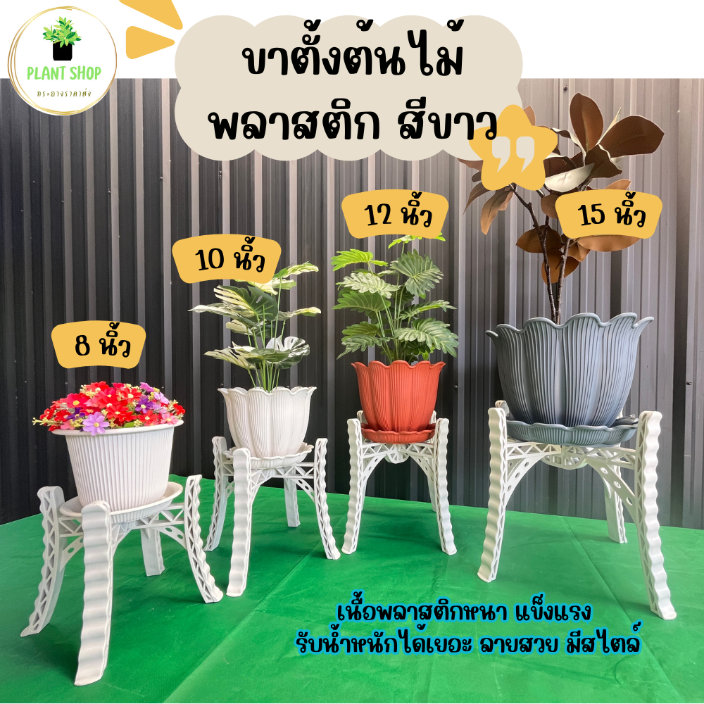 ขาตั้งกระถางพลาสติกสีขาว เนื้อหนา แข็งแรง รับน้ำหนักได้เยอะ ขนาด 8 นิ้ว 10 นิ้ว 12 นิ้ว 15 นิ้ว