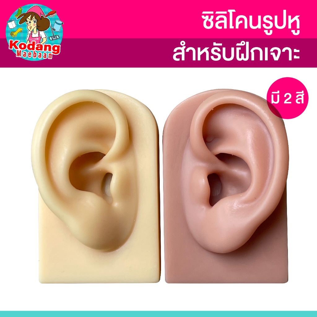 ซิลิโคนรูปหู สําหรับฝึกซ้อมเจาะหู
