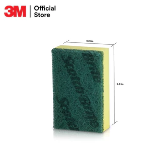 3M™ Scotch-Brite สก๊อตช์-ไบรต์® ใยขัดพร้อมฟองน้ำ, 3x4 นิ้ว, แพ็ค 31 ชิ้น