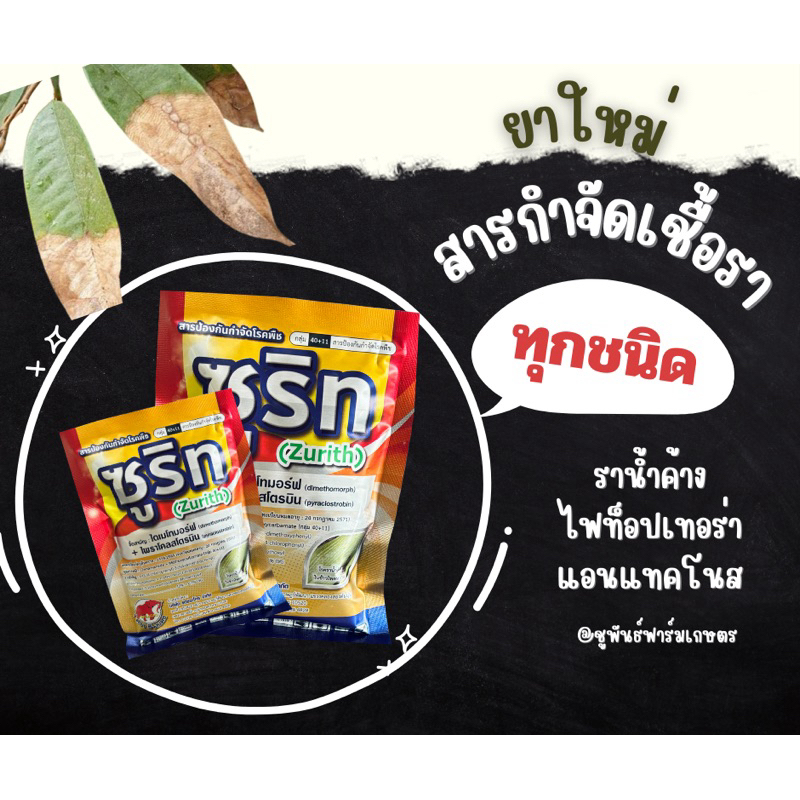 ยาไฟท็อปเทอร่า ใบติด กิ่งแห้ง ยาเชื้อรา ไดเมโทมอร์ฟ+ไพราโคลสโตรบิน // ซูริท (zurith)