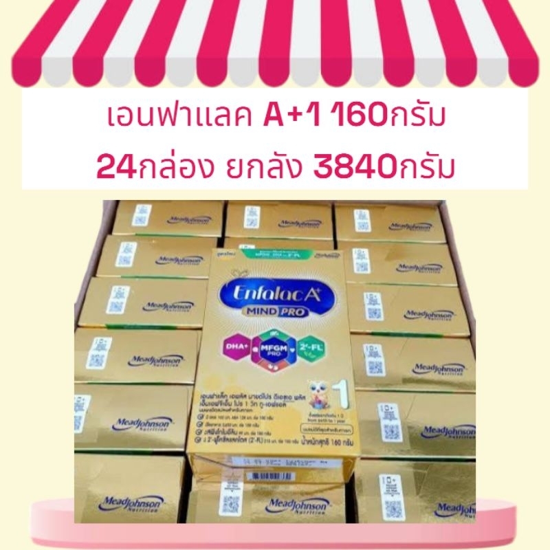 Enfalac A+ Mindpro เอนฟาแล็คเอพลัส มายด์โปร สูตร1 ขนาด 160กรัม 24กล่อง(3840กรัม)