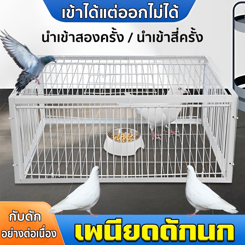 เพนียดดักนก กรงกับดักนกพิราบ กรกดักนกเขา นำเข้าสองครั้ง / นำเข้าสี่ครั้ง เข้าได้แต่ออกไม่ได้ พร้อมช่องรับแสง