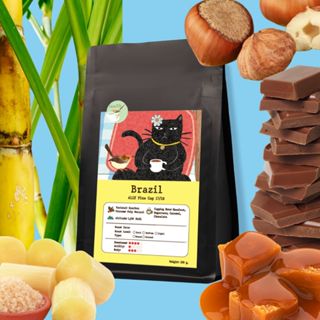 เมล็ดกาแฟคั่ว บราซิล Brazil Ally Fine cup NY 17/18 | คั่วกลา…