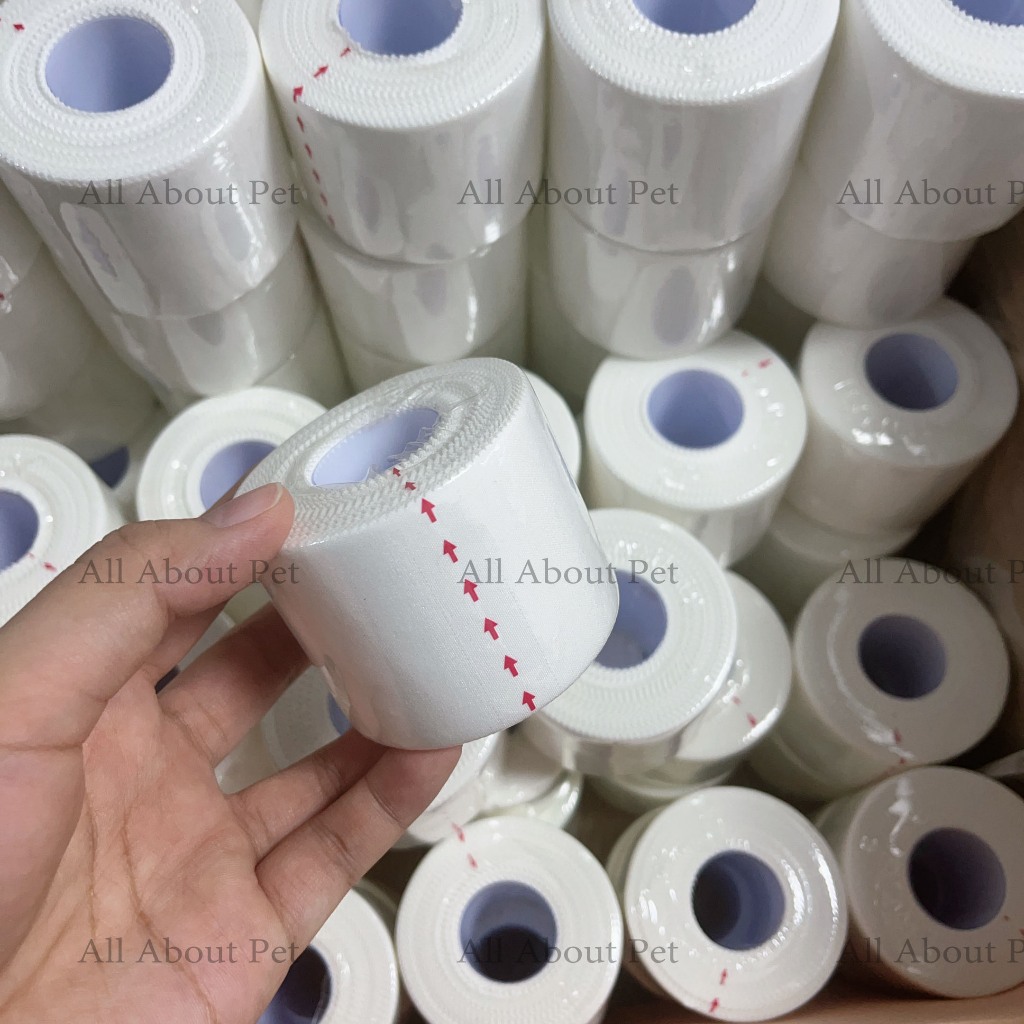 รูปภาพ 7