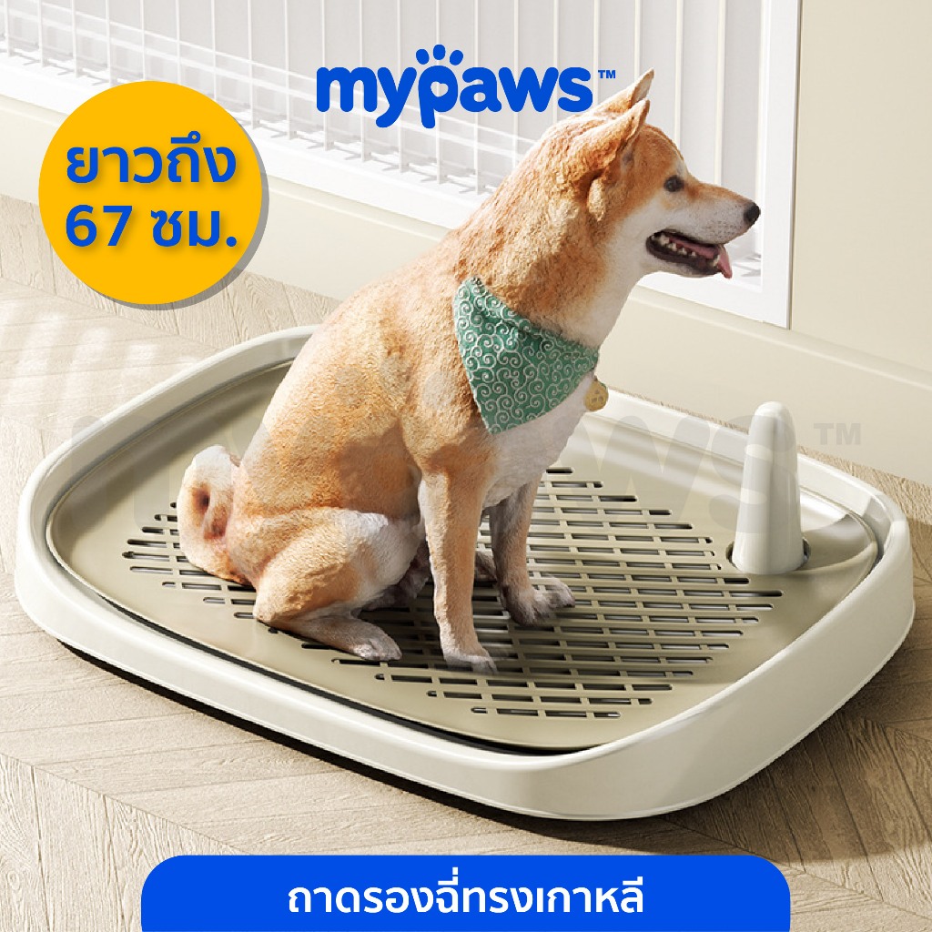 [ 2.2 ลดสูงสุด 450.-]My Paws ถาดรองฉี่สุนัข มินิมอล ขนาด 67 Cm เสาเล็งเป็นแบบเสียบหลุม ไม่หลุดง่าย