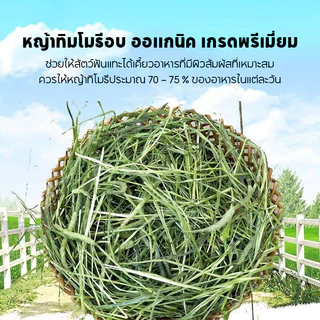 หญ้าทิมโมธี ออแกนิคอบลมร้อน 500g Super Premium Timothy สำหรับกระต่าย และสัตว์ฟันแทะ
