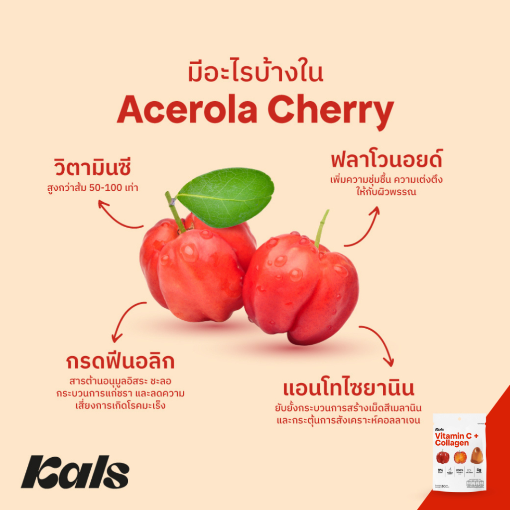Kals ขนมวิตามินกัมมี่ ไม่มีน้ำตาล (0% Sugar) แพ็คคู่ 2 รสชาติ [Vitamin A + Bilberry และ Vitamin C + Collagen] - รูปที่ 4