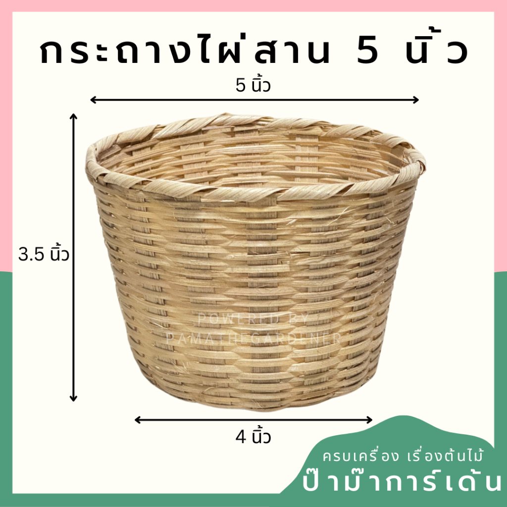 มุมมอง 4