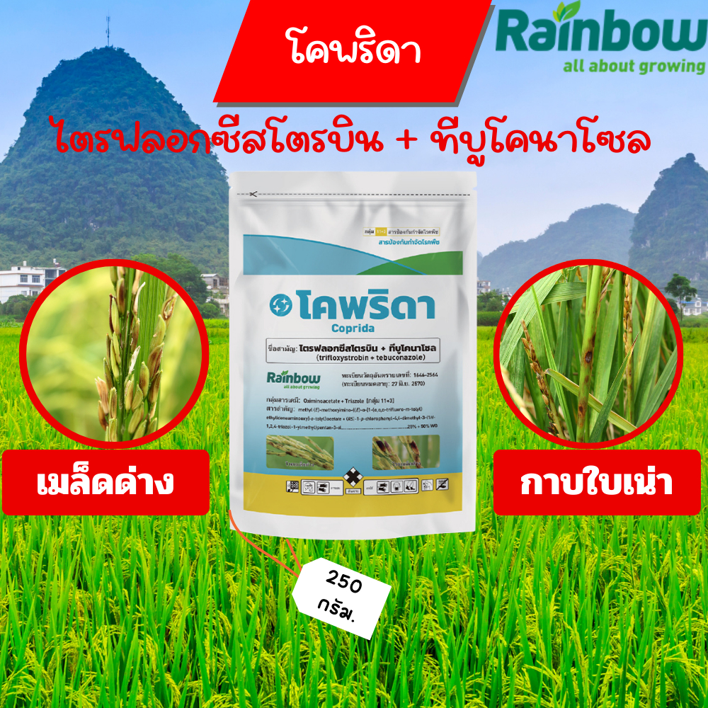 โคพริดา (ตัวเดียวกับนาติโว) ไตรฟลอกซีสโตรบิน + ทีบูโคนาโซล ขนาด 250 กรัม