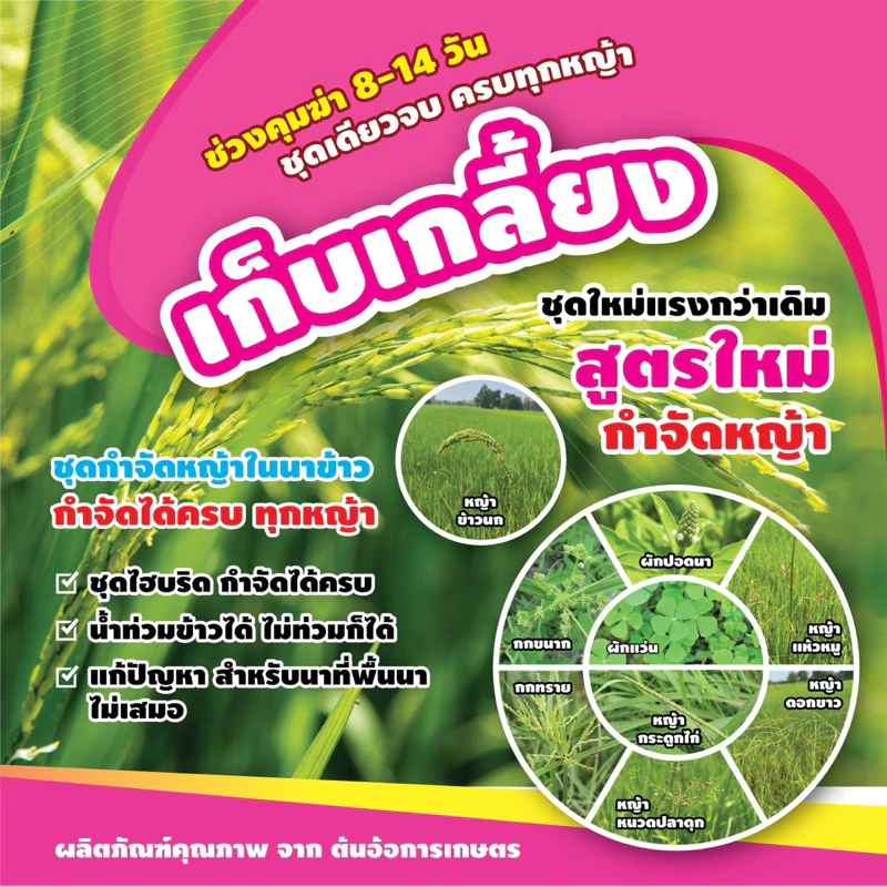 ชุดเก็บเกลี้ยง กำจัดหญ้าในนาหว่านน้ำตม