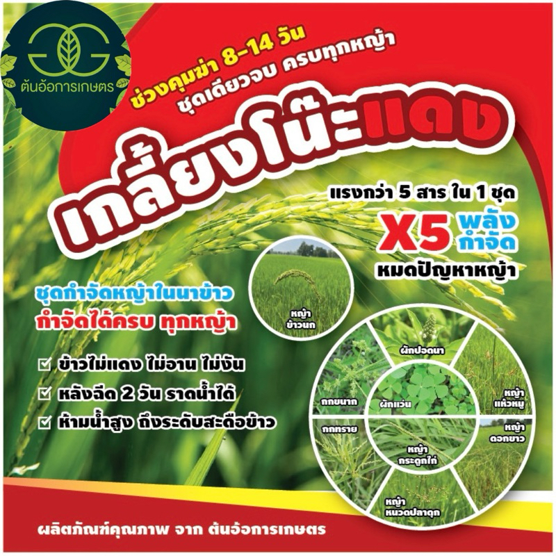 ชุดเกลี้ยงโน๊ะแดง ชุดกำจัดหญ้าในนาข้าว 1ชุดฉีดได้4ไร่