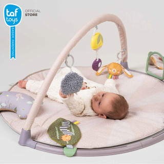 Taf Toys Tummy-Time Activity Gym 婴儿健身架 床铃游戏毯 早教益智 0个月+ 图片 3