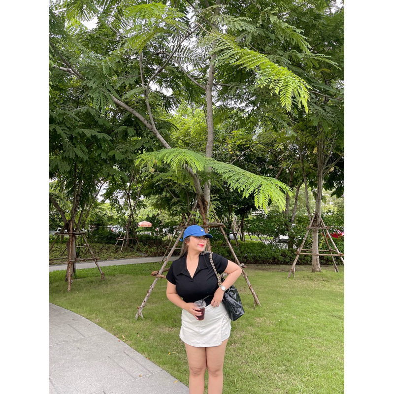 เสื้อโปโลสาวอวบ ผ้ายืดใส่สบาย