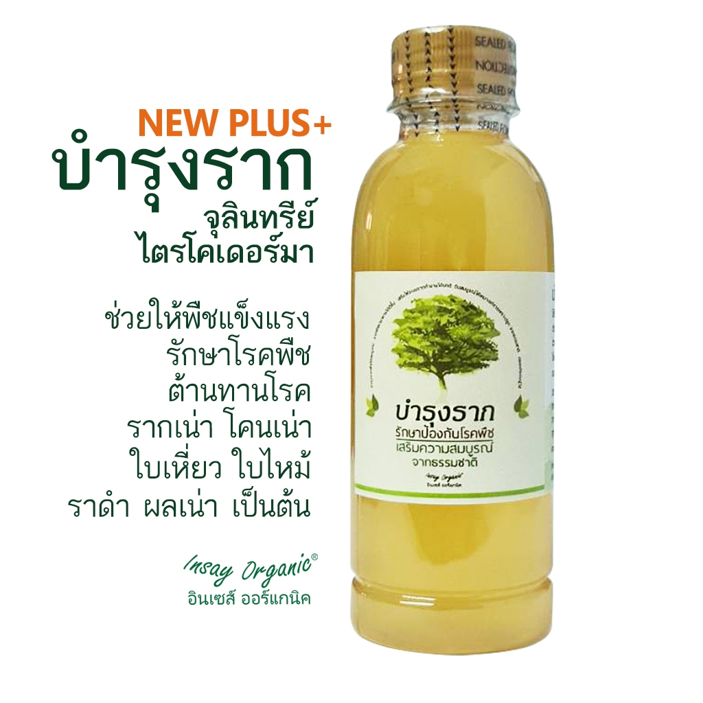 บำรุงราก INSAY จุลินทรีย์ใช้ควบคุมโรคพืช ระบบรากสมบูรณ์ พืชผักเจริญเติบโตดี ขนาด 250 มล.